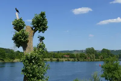 Naturlandschaft in der Nähe der Ferienwohnung
