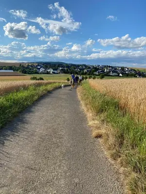 Naturlandschaft in der Nähe der Ferienwohnung