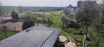 Ein Garten an der Unterkunft Landhof Lieg - Tierische Auszeit in unseren gemütlichen Ferienwohnungen