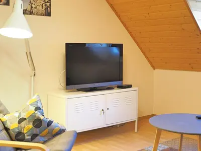 TV/Unterhaltungsangebot in der Unterkunft Scherfsmühle am Mühlbach