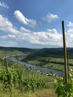 Naturlandschaft in der Nähe der Ferienwohnung