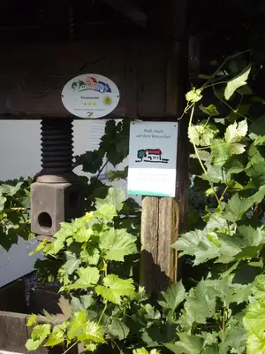 Ein Garten an der Unterkunft Bed & Breakfast Sandra Müller
