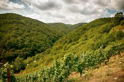Naturlandschaft in der Nähe der Ferienwohnung