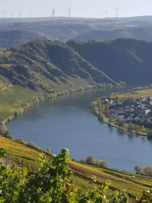 Naturlandschaft in der Nähe des Ferienhauses