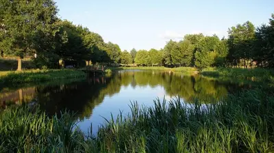 Naturlandschaft in der Nähe des Ferienhauses