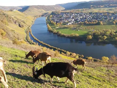 Naturlandschaft in der Nähe des Ferienhauses