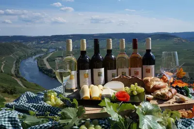 Getränke in der Unterkunft Ferienweingut Reh in Klüsserath
