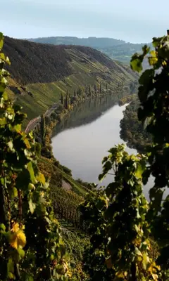Naturlandschaft in der Nähe der Pension
