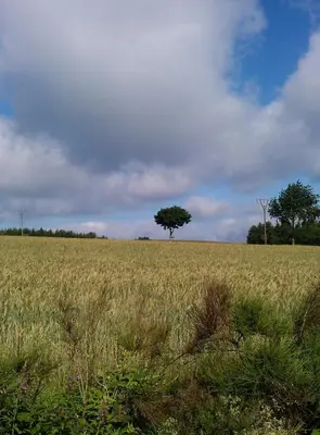 Naturlandschaft in der Nähe der Ferienwohnung
