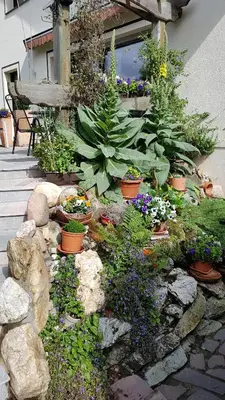 Ein Garten an der Unterkunft Ferienwohnung Tetzlaff