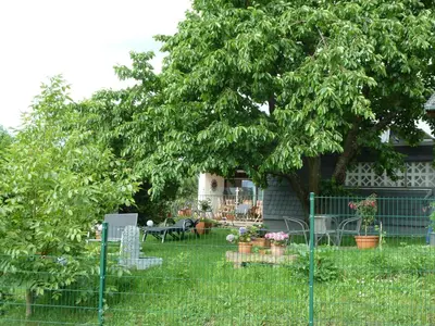 Ein Garten an der Unterkunft Gästehaus Sproß