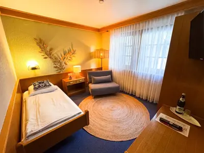 TV/Unterhaltungsangebot in der Unterkunft Hotel Gülser Weinstube