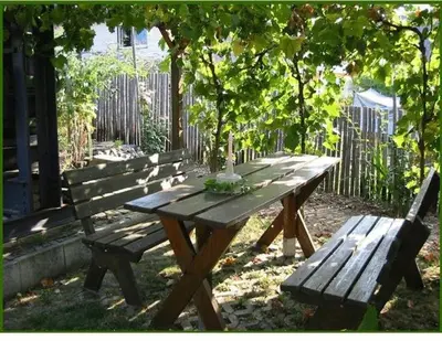 Ein Garten an der Unterkunft Gästehaus Kiesgen-Mendgen