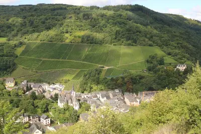 Naturlandschaft in der Nähe der Ferienwohnung