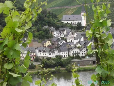 Naturlandschaft in der Nähe der Pension