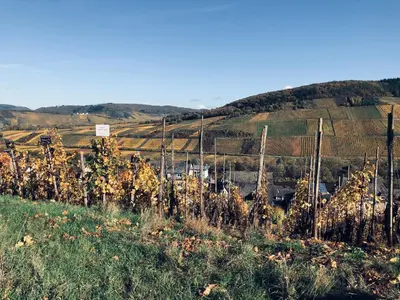 Naturlandschaft in der Nähe des Ferienhauses