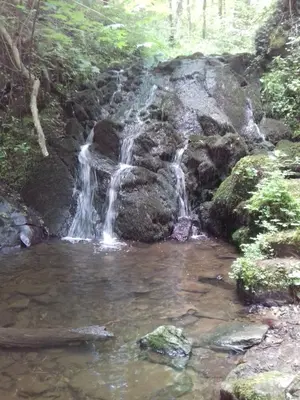 Naturlandschaft in der Nähe des Hostels
