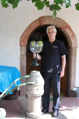 Gäste, die in der Unterkunft Hotel - Pension Wendland übernachten