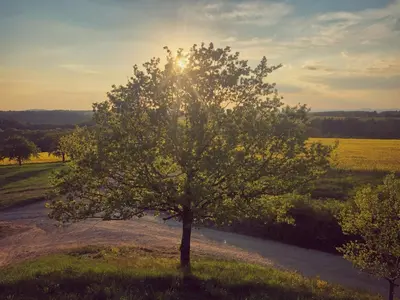 Naturlandschaft in der Nähe der Ferienwohnung