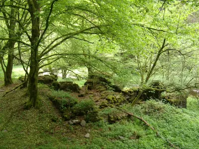 Naturlandschaft in der Nähe der Ferienwohnung