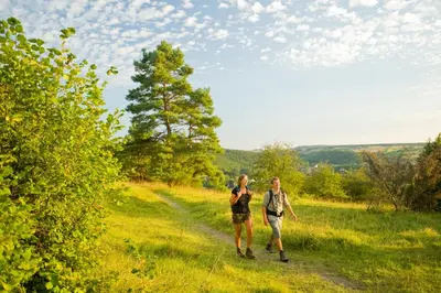 Naturlandschaft in der Nähe des Hotels