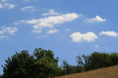Naturlandschaft in der Nähe des Ferienhauses