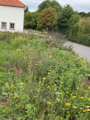 Ein Garten an der Unterkunft Ferienhaus 