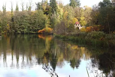 Naturlandschaft in der Nähe der Ferienwohnung