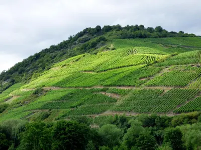 Naturlandschaft in der Nähe der Ferienwohnung