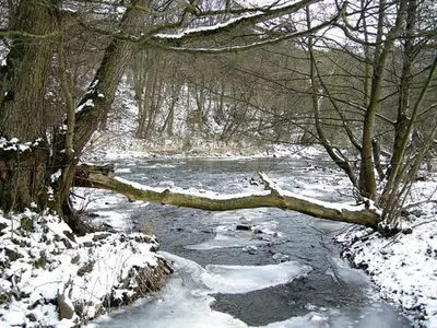 Naturlandschaft in der Nähe des Bed & Breakfasts