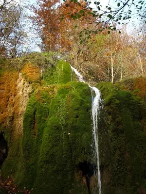 Naturlandschaft in der Nähe des Bed & Breakfasts