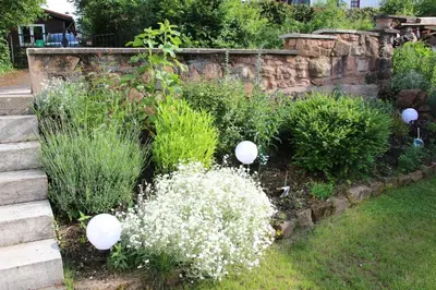 Ein Garten an der Unterkunft Burbergblick
