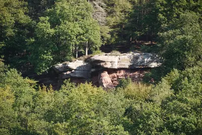 Naturlandschaft in der Nähe der Ferienwohnung
