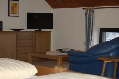 TV/Unterhaltungsangebot in der Unterkunft Landgasthaus Pfahl