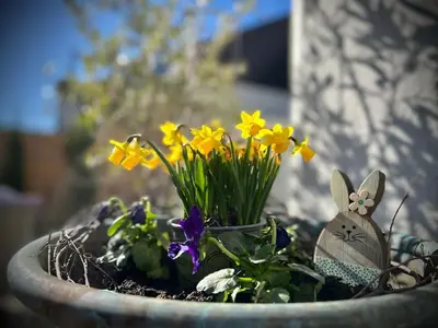 Ein Garten an der Unterkunft Ferienwohnungen Christina