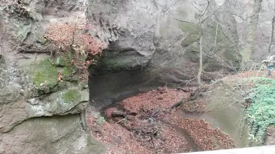 Naturlandschaft in der Nähe der Ferienwohnung