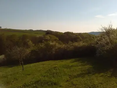 Naturlandschaft in der Nähe der Ferienwohnung