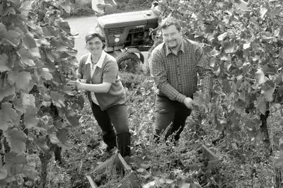 Gäste, die in der Unterkunft Gästehaus Wein im Turm übernachten