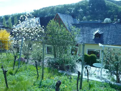 Ein Garten an der Unterkunft Pension am Weinberg