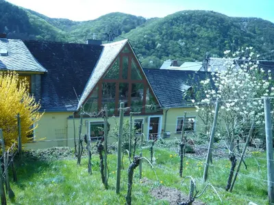 Naturlandschaft in der Nähe der Pension