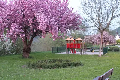 Ein Garten an der Unterkunft Ferienhaus Emil