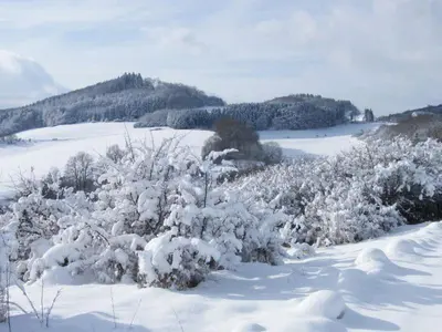 Naturlandschaft in der Nähe der Ferienwohnung