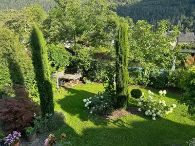 Ein Garten an der Unterkunft York Cottage Garden