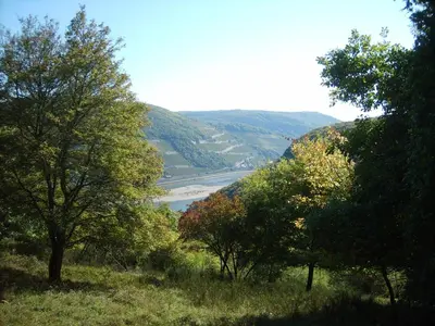 Naturlandschaft in der Nähe der Ferienwohnung