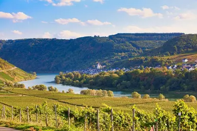 Naturlandschaft in der Nähe des Hotels