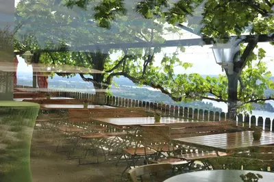 Ein Garten an der Unterkunft das Rebenhaus