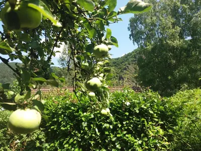 Naturlandschaft in der Nähe des Ferienhauses