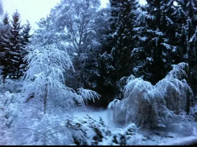 The Cozy Cottage im Winter