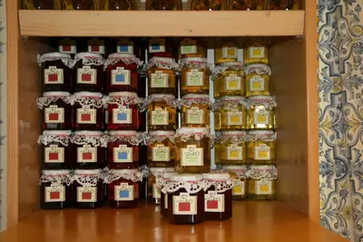 Grundriss der Unterkunft Weingut & Gästehaus Stephan Kohl