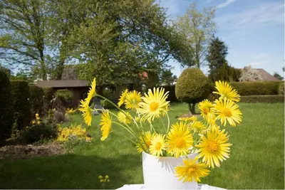 Ein Garten an der Unterkunft Altes Forsthaus